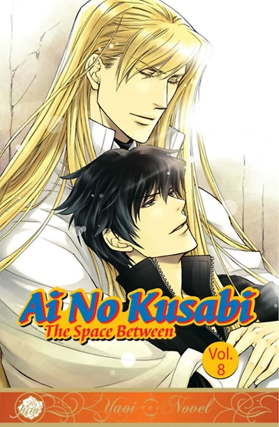Ai No Kusabi The Space Between Volume 8 (yaoi Novel)