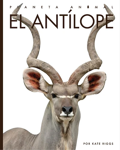 El antilope: Planeta animal: El antilope