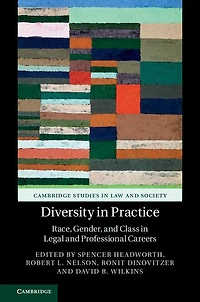 Diversity Practice: Race, Gender, and Class Legal Professional Careers