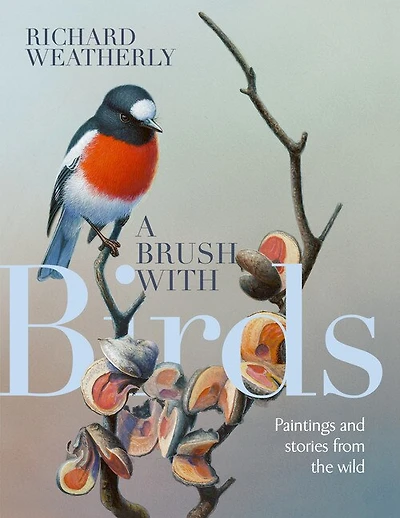 A Brush With Birds: Paintings And Stories From The Wild