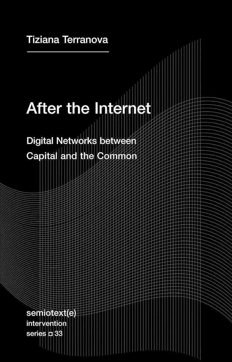 After the Internet: Digital Networks between Capital and Common
