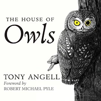 The House of Owls Lib/E
