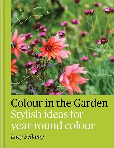 colour the Garden: Stylish ideas for year-round