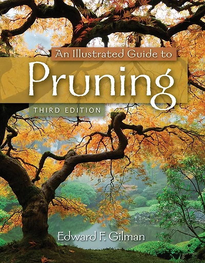 An Illustrated Guide To Pruning