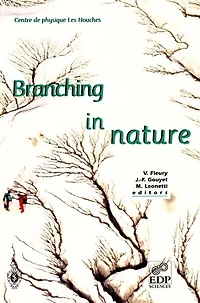 Branching in nature: dynamics and morphogenesis of branching structures, from cell to river networks