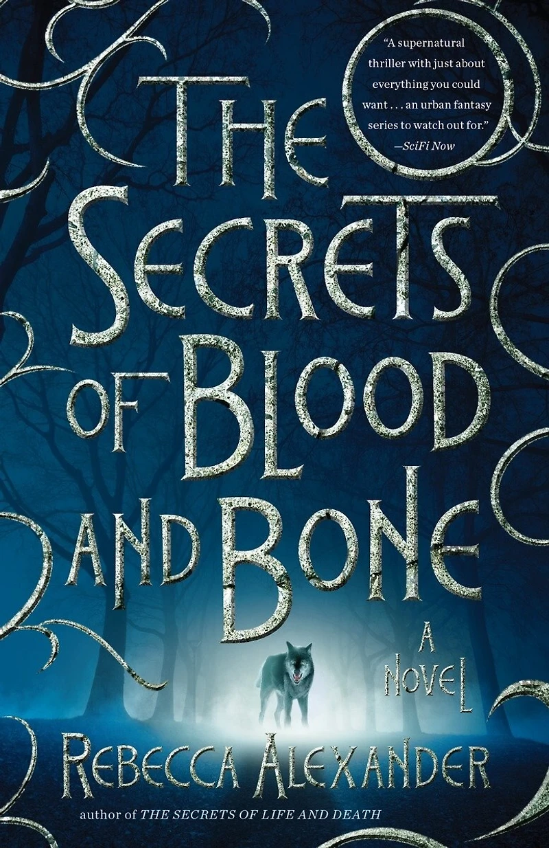 The Secrets of Blood and Bone: A Novel