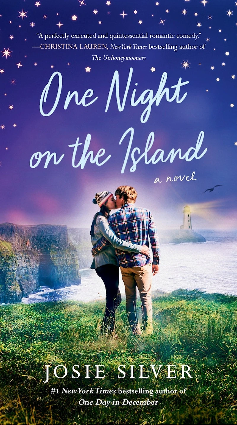 One Night on the Island: A Novel