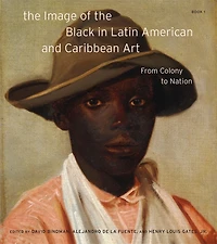 the Image of Black Latin American and Caribbean Art: From Colony to Nation