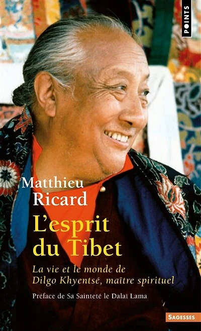 L' esprit du Tibet: la vie et le monde de Dilgo Khyentsé, maître spirituel