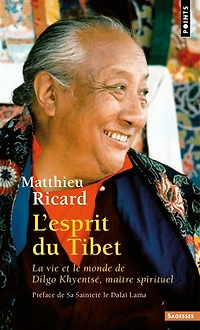 L' esprit du Tibet: la vie et le monde de Dilgo Khyentsé, maître spirituel