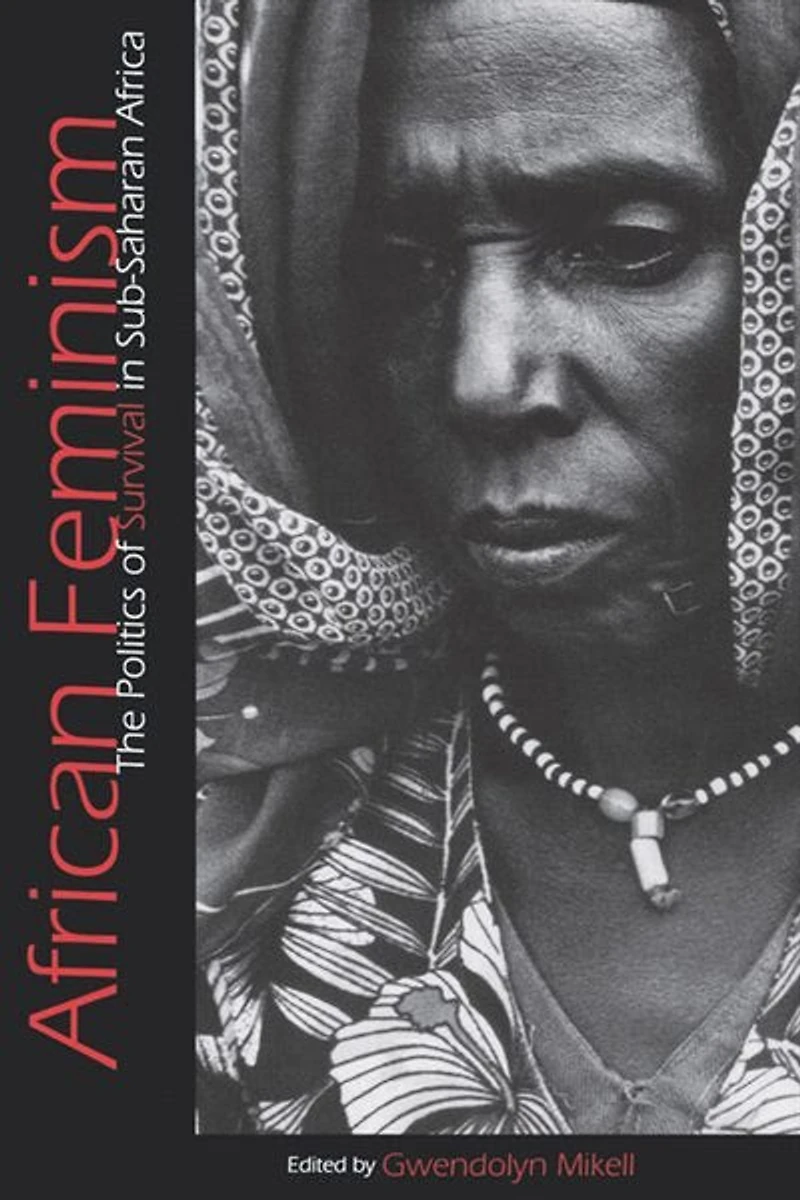 African Feminism: The Politics Of Survival In Sub-saharan Africa