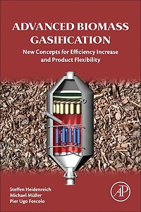 Advanced Biomass Gasification: New Concepts For Efficiency Increase And Product Flexibility
