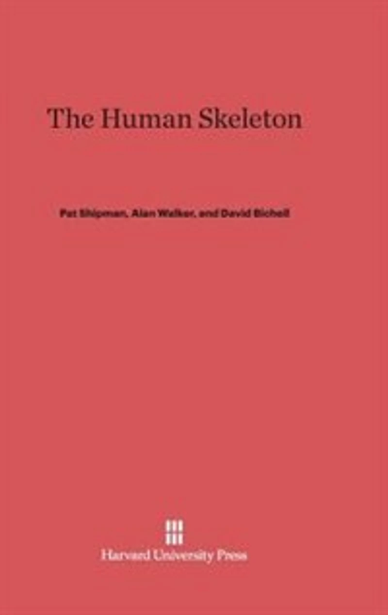 The Human Skeleton