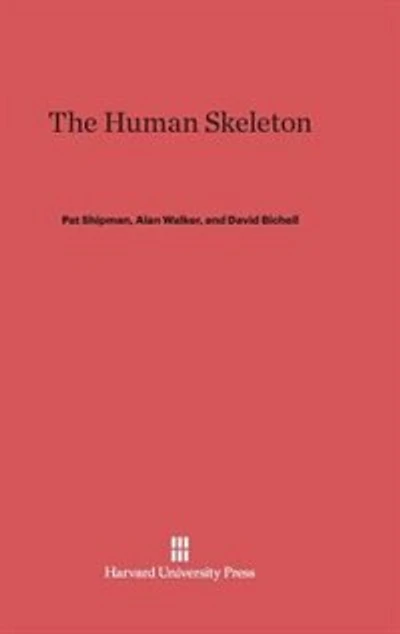 The Human Skeleton