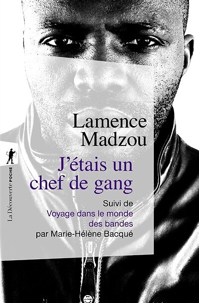 J'étais un chef de gang ; Voyage dans le monde des bandes