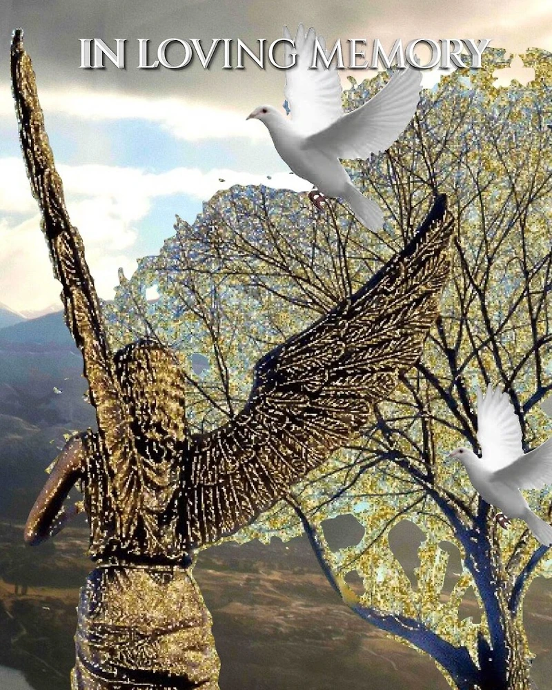 Angel White Doves New Zealand stunning landscape Remberance Funeral Blank page guest book: book