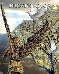 Angel White Doves New Zealand stunning landscape Remberance Funeral Blank page guest book: book