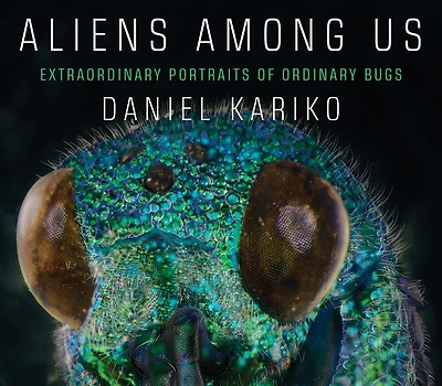 Aliens Among Us: Extraordinary Portraits Of Ordinary Bugs