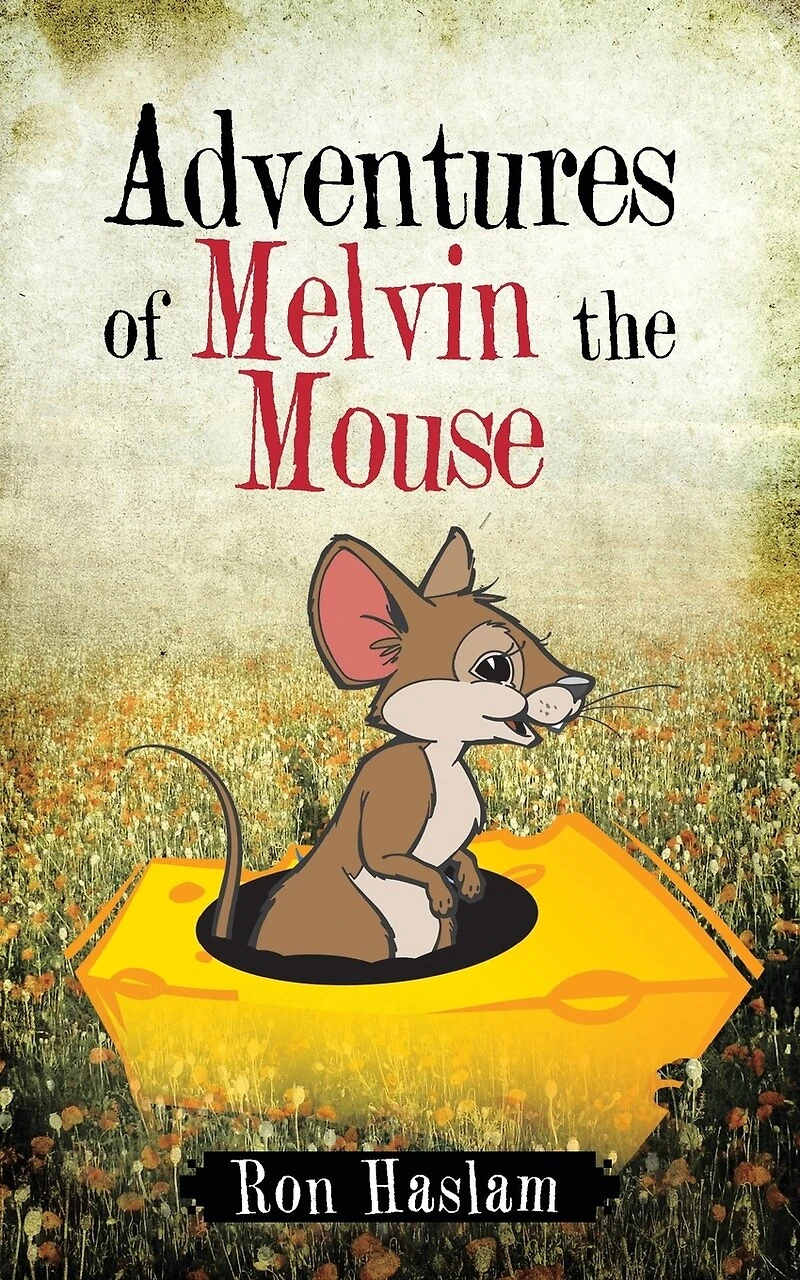 Adventures Of Melvin The Mouse