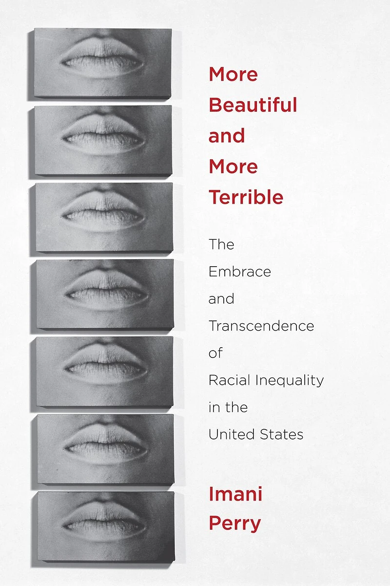 More Beautiful And Terrible: The Embrace Transcendence Of Racial Inequality United States