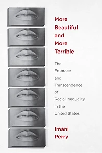 More Beautiful And Terrible: The Embrace Transcendence Of Racial Inequality United States