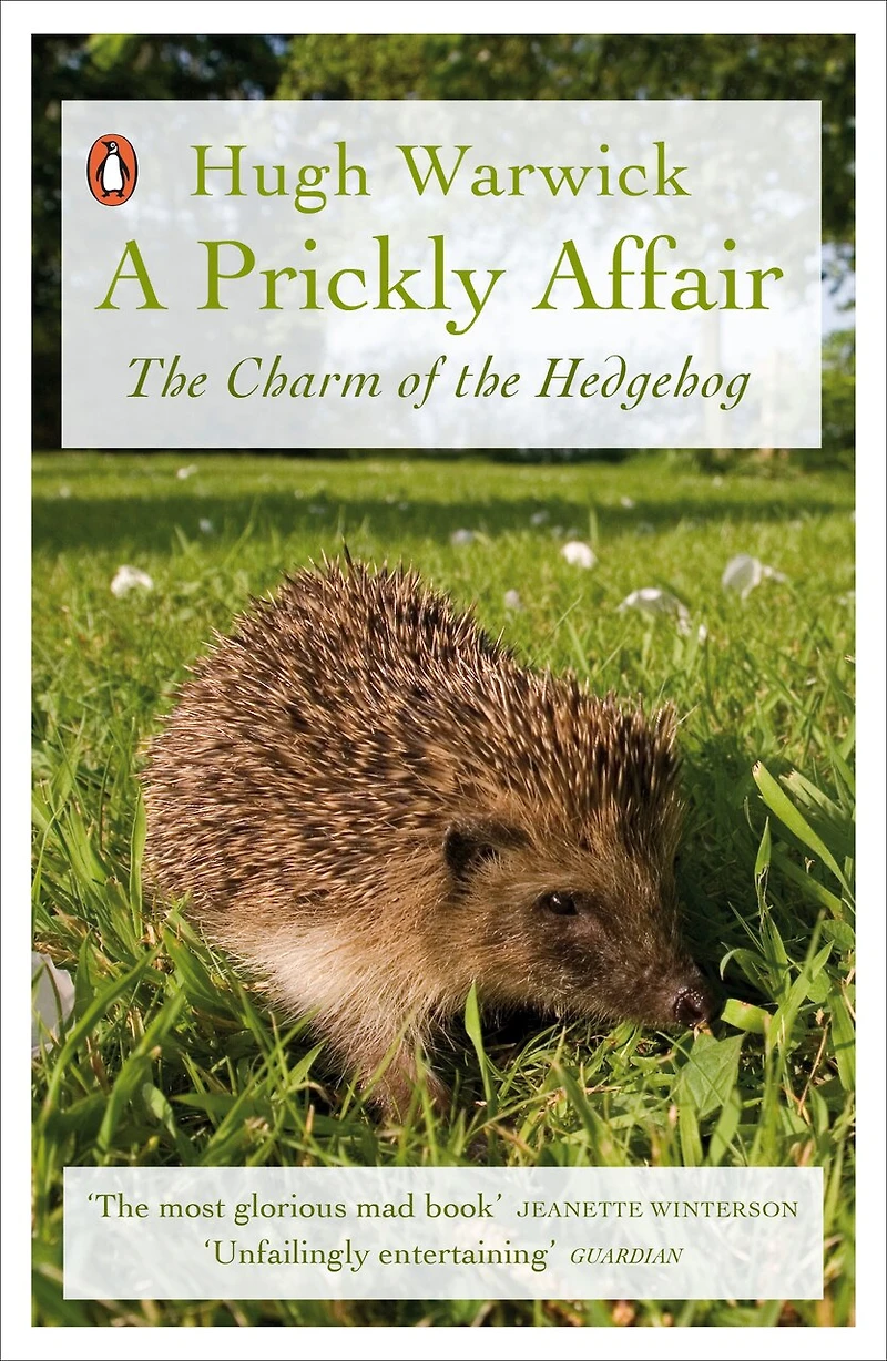 A Prickly Affair: The Charm Of Hedgehog