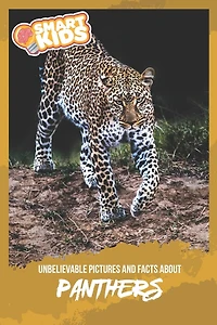 Unbelievable Pictures and Facts About Panthers