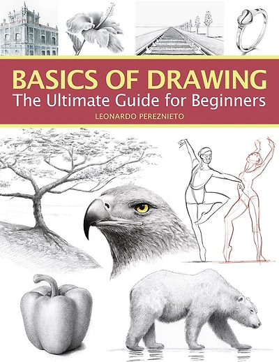 Basics Of Drawing: The Ultimate Guide For Beginners