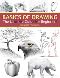 Basics Of Drawing: The Ultimate Guide For Beginners