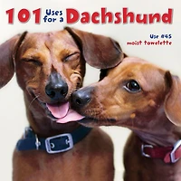 101 Uses for a Dachshund