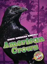 American Crows