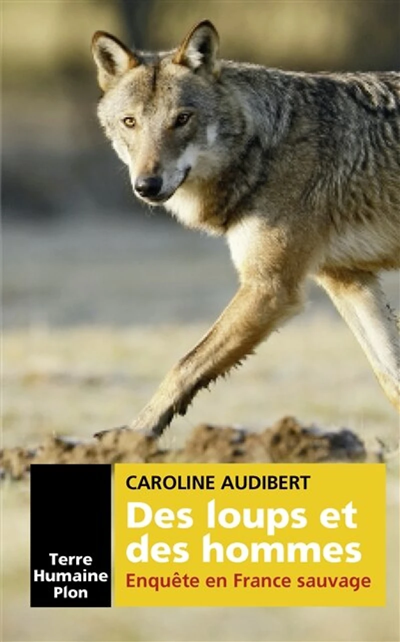 des loups et hommes - Enquête en France sauvage