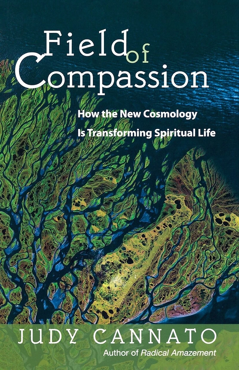 Field Of Compassion: How The New Cosmology Is Transforming Spiritual Life