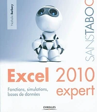Excel Expert: fonctions, simulations, bases de données