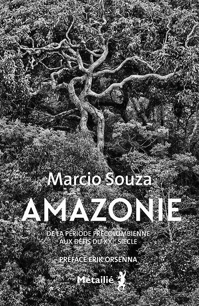 Amazonie - de la période précolombienne aux défis du 21e siècle: histoire XXIe siècle