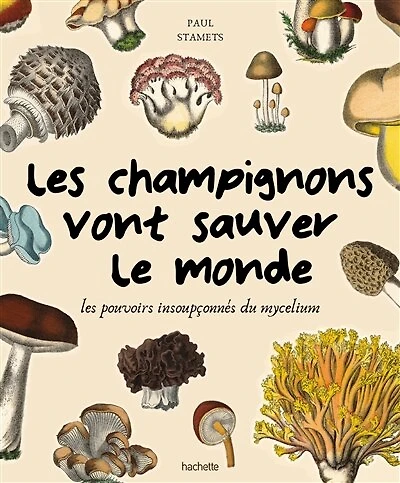 les champignons vont sauver le monde : pouvoirs insoupçonnés du mycélium: mycélium