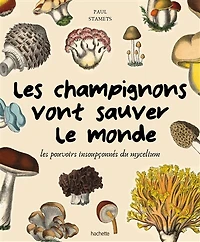 les champignons vont sauver le monde : pouvoirs insoupçonnés du mycélium: mycélium