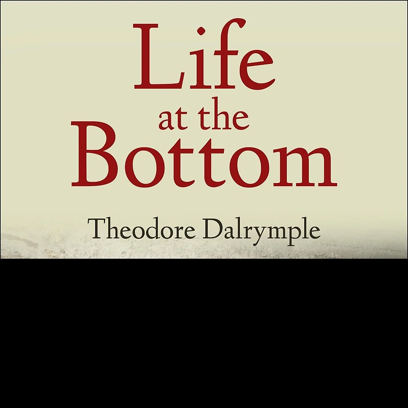 Life at the Bottom Lib/E: Worldview That Makes Underclass