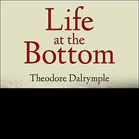Life at the Bottom Lib/E: Worldview That Makes Underclass