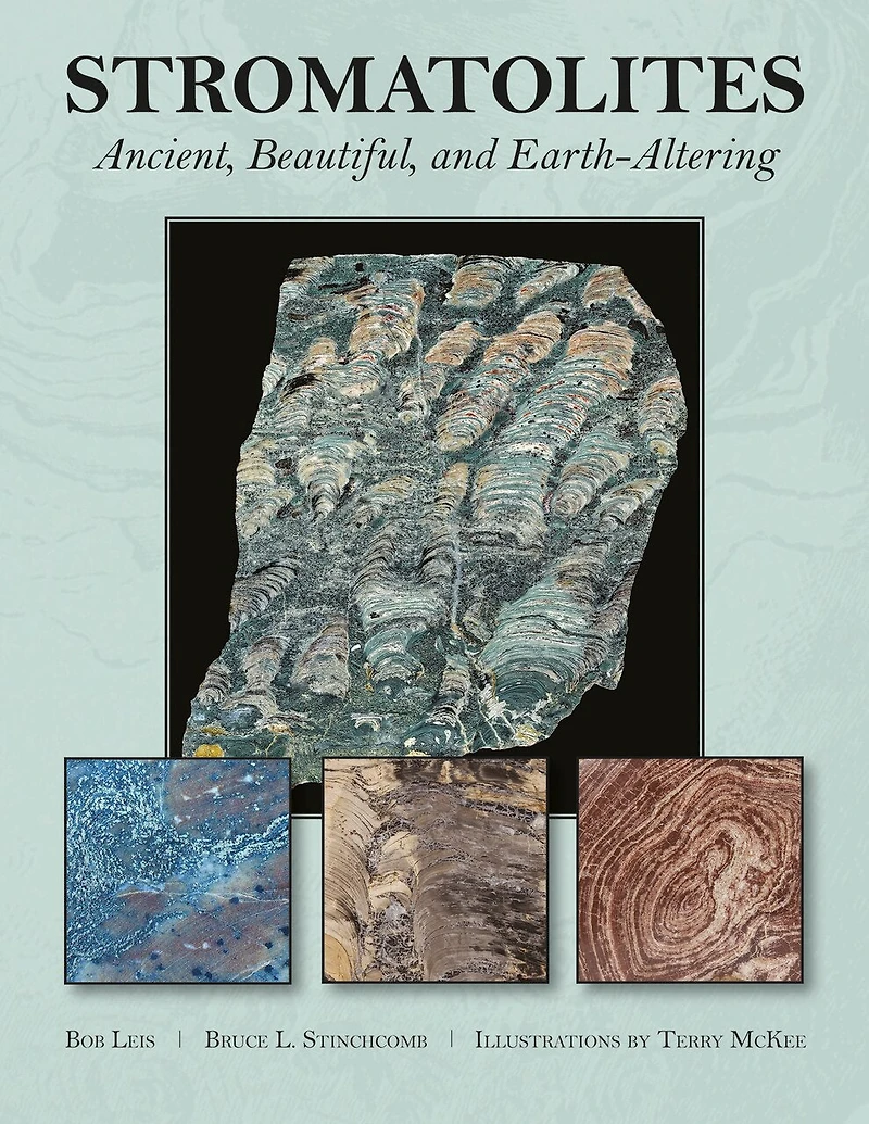 Stromatolites: Ancient, Beautiful, And Earth-altering