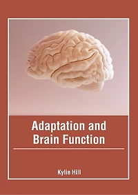 Adaptation And Brain Function
