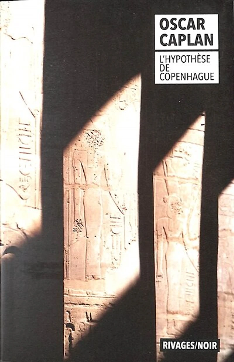 L' hypothèse de Copenhague