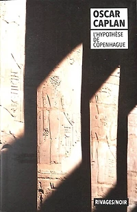L' hypothèse de Copenhague