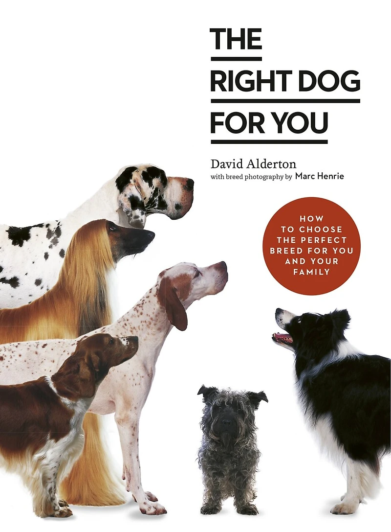 the Right Dog for You: How to choose perfect breed you and your family