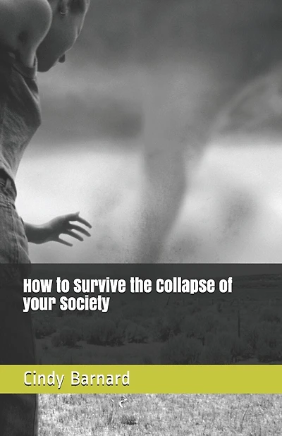 How to Survive the Collapse of your Society: Book one: Things you need to start thinking about.