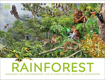 Rainforest