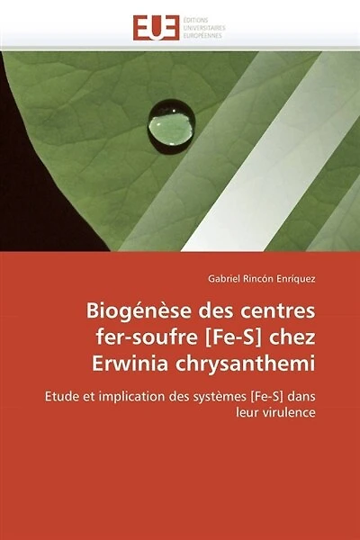 Biogénèse des centres fer-soufre [fe-s] chez erwinia chrysanthemi