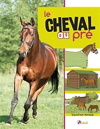 Avoir un cheval dans pré
