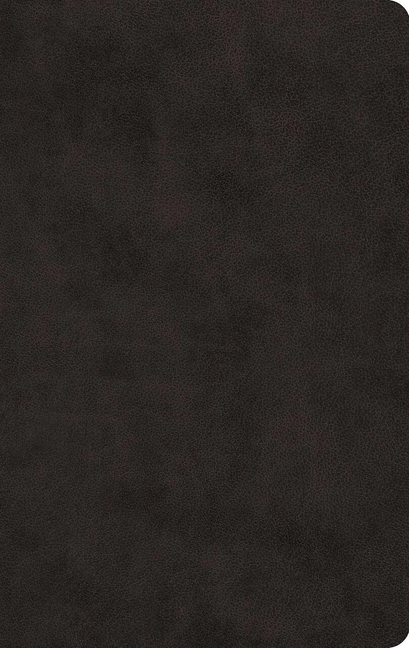 Esv Large Print Value Thinline Bible (trutone, Black)