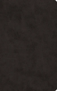 Esv Large Print Value Thinline Bible (trutone, Black)